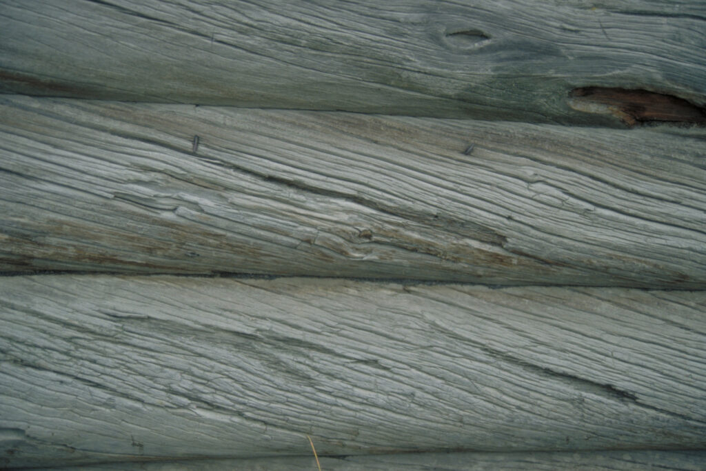 1_Hirsiä_JumA_K_M1 (2) Hirsikuva