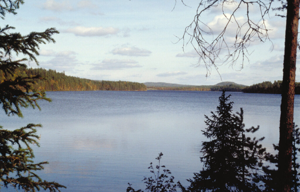 Ponkalahden kyläjärvi