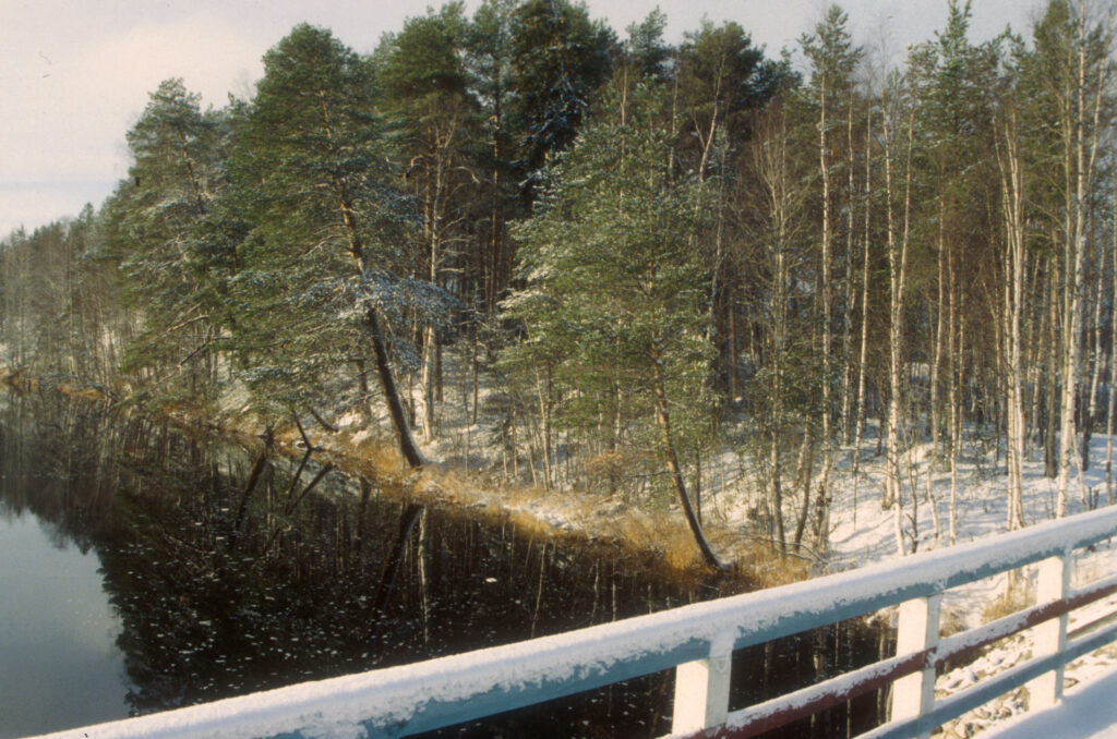 Tollojokimaisema