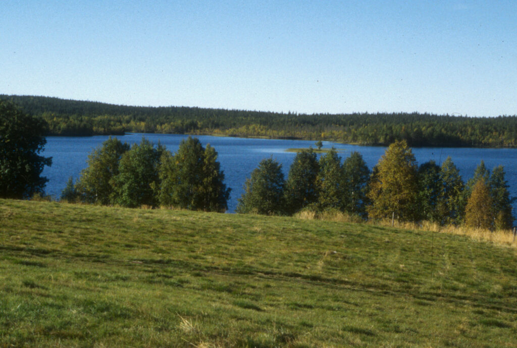 Latvajärvi