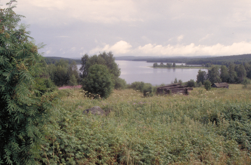 Metsä- ja järvimaisema