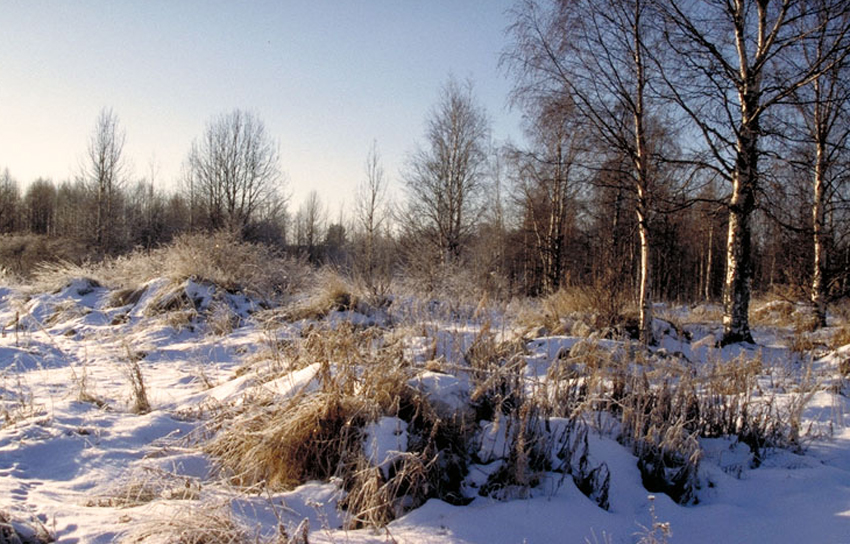 Vuokinsalmen maisema