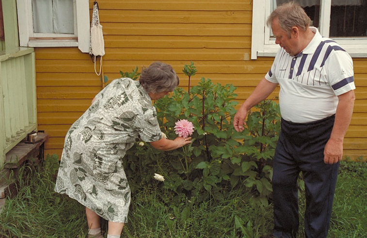 Mies ja nainen katsomassa kukkapenkkiä