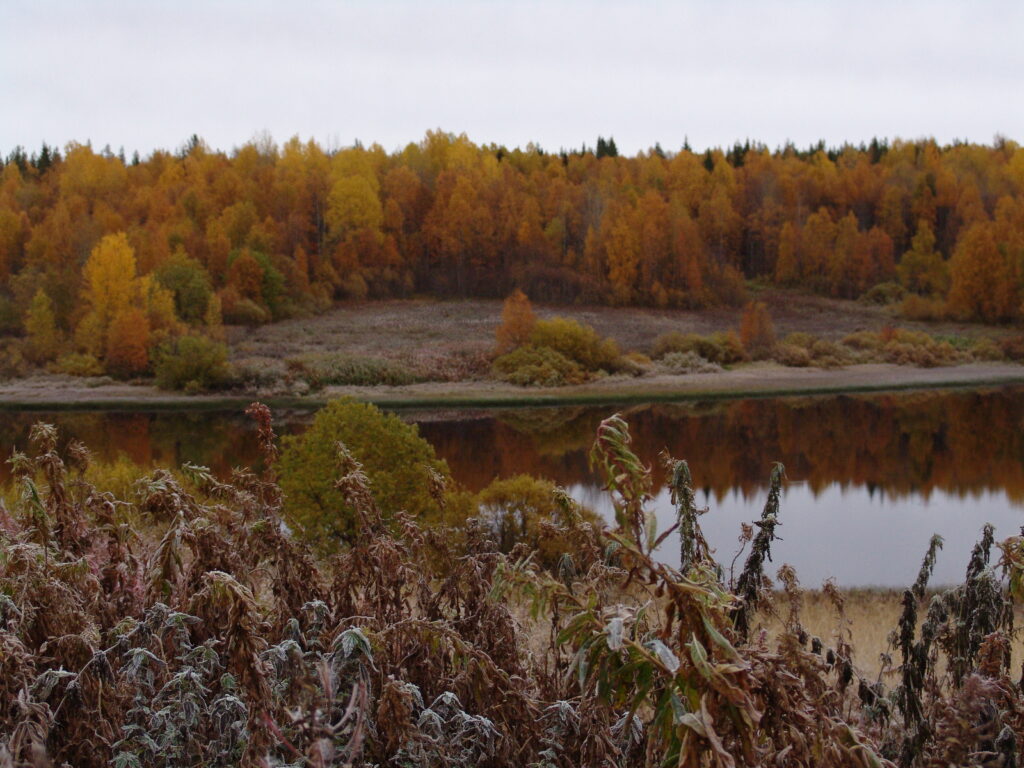 Jokimaisema ruskassa