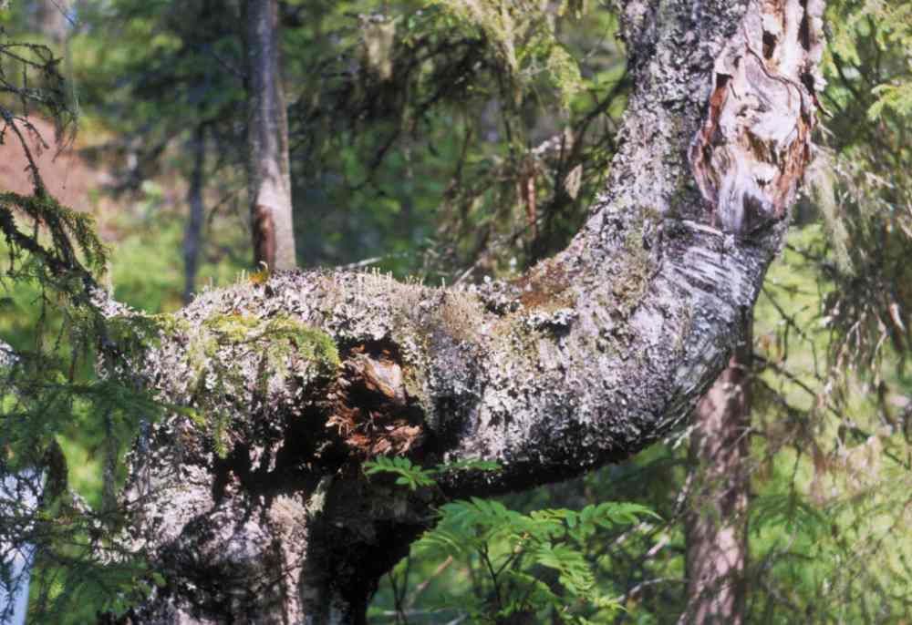 JumA_K_M3-28-1024x702_