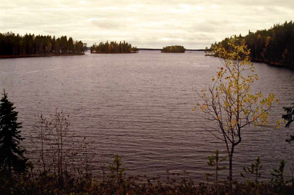 Lapukka_JumA_K_M31 (77)